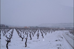 hiver07g