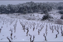 hiver08g