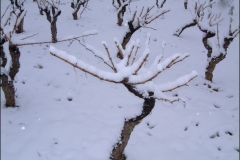 hiver09g