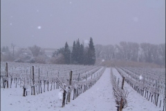 hiver11g