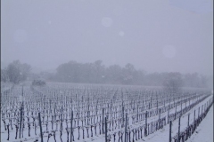 hiver12g