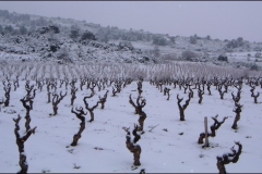 hiver13g