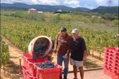 vendanges06g